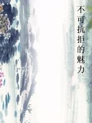 不可抗拒的魅力封面
