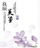 良辰美堇封面